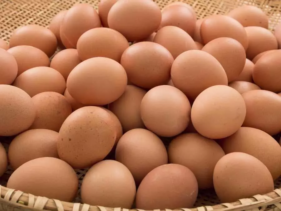 1 x Dozen Macclesfield Eggs, photo 3